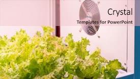  Presentation with hydroponic farm - Cool new slides with light indoor farm agriculture technology backdrop and a lemonade colored foreground