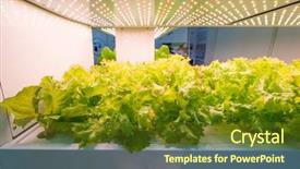  Presentation with technology aquaculture hydroponic vegetable - Cool new presentation with light indoor farm agriculture technology backdrop and a tawny brown colored foreground