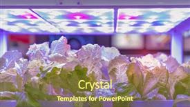  Presentation with agriculture technology - Colorful presentation enhanced with light indoor farm agriculture technology backdrop and a tawny brown colored foreground