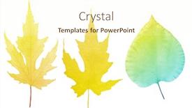  Presentation with skeletons - Presentation enhanced with light-leaves-skeletons-isolated background and a cream colored foreground