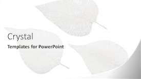  Presentation with lilac bush - Presentation design enhanced with light-lilac-bush-leaf-skeletons background and a white colored foreground