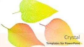  Presentation with lilac bush - Presentation design enhanced with light-lilac-bush-leaves-skeletons background and a blonde colored foreground