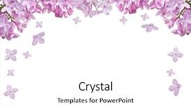  Presentation with white flower frame - Audience pleasing PPT theme consisting of light lilac flower half frame backdrop and a white colored foreground