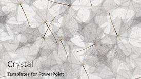  Presentation with maple leaf - Slide set consisting of light maple tree leaf skeleton seamless background background and a light gray colored foreground