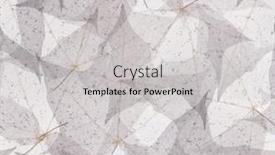  Presentation with skeletons - Audience pleasing PPT layouts consisting of light maple tree leaf skeletons seamless background backdrop and a light gray colored foreground