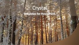  Presentation with winter landscape winter tree - PPT theme with light of the setting sun background and a violet colored foreground