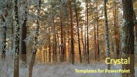  Presentation with winter landscape winter tree - PPT theme enhanced with light of the setting sun background and a tawny brown colored foreground