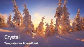  Presentation with winter forest night - Cool new slides with light of the setting sun backdrop and a violet colored foreground