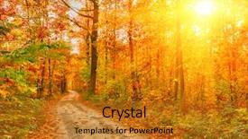  Presentation with pathway - Beautiful slides featuring man glad in the background of his team backdrop and a white colored foreground