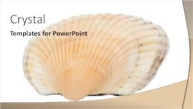  Presentation with shellfish - 