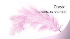  Presentation with light pink - PPT theme featuring light pink feather isolated on white background background and a white colored foreground