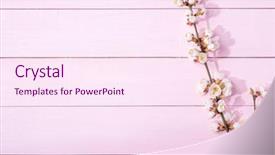  Presentation with apricot - Presentation theme enhanced with light pink wooden background background and a pink colored foreground