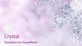  Presentation with fir tree - Presentation theme enhanced with light purple - christmas background with fir-tree background and a sky blue colored foreground