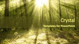  Presentation with sunlight - Theme featuring light rays - fairytale forest sunlight and shadows background and a tawny brown colored foreground