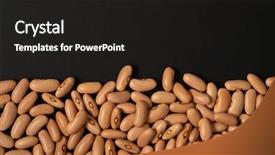  Presentation with kidney - Beautiful PPT theme featuring light red dry kidney backdrop and a dark gray colored foreground