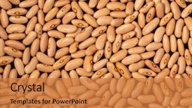  Presentation with black light - Slide set with light red dry kidney background and a gold colored foreground