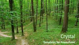  Presentation with tree sky trees green - Amazing presentation design having light summer colors - forest trees nature green wood backdrop and a tawny brown colored foreground
