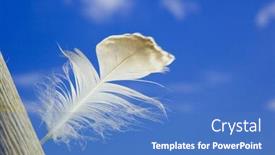  Presentation with white wine and red - Beautiful PPT theme featuring light-white-feather backdrop and a teal colored foreground