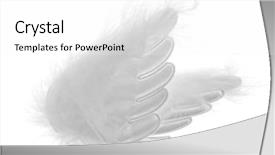  Presentation with angel wings - Slides consisting of light wings isolated on white background and a white colored foreground