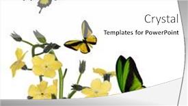  Presentation with forget - Audience pleasing PPT theme consisting of light-yellow-forget backdrop and a white colored foreground