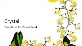  Presentation with forget - Theme with light yellow forget-me-not flowers corner with butterflies isolated on white background background and a white colored foreground