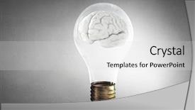  Presentation with great idea - Theme with lightbulb brain - great idea concept background and a light gray colored foreground