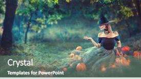  Presentation with dark forest - Audience pleasing PPT theme consisting of lights in a dark forest backdrop and a ocean colored foreground