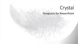  Presentation with islamic feather - Cool new PPT theme with ease - light fluffy feather isolated backdrop and a  colored foreground