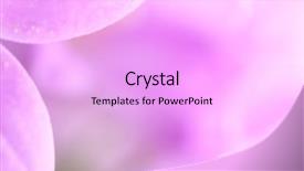  Presentation with flower - Amazing PPT theme having lila and white flower details backdrop and a lavender colored foreground