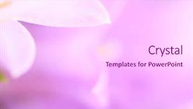  Presentation with flower - Colorful presentation design enhanced with lila and white flower details backdrop and a white colored foreground