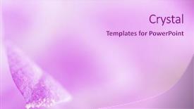  Presentation with flower - Audience pleasing slide deck consisting of gunshot - skill contest - biathlon target backdrop and a lemonade colored foreground.