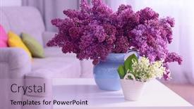  Presentation with lily - Beautiful theme featuring lilac and may-lily flowers on white table backdrop and a light blue colored foreground
