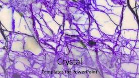  Presentation with stone - Amazing slide deck having lilac and white stone seamless backdrop and a light blue colored foreground