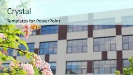  Presentation with lilac bush - Beautiful presentation design featuring beautiful lavender flowers in flower backdrop and a gray colored foreground.