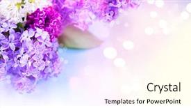  Presentation with flower border - Slide deck with lilac flowers bunch over blurred background and a cream colored foreground