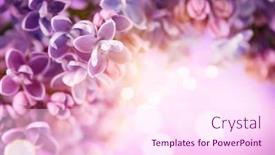  Presentation with flower watercolor - Slide deck having lilac-flowers-bunch-violet-art background and a pink colored foreground