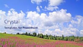  Presentation with field - Amazing presentation having lilac-flowers-on-field backdrop and a sky blue colored foreground