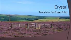  Presentation with lilac flower - Presentation theme consisting of the north yorkshire moor background and a light blue colored foreground