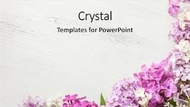  Presentation with flowers border - Amazing slide deck having lilac on the old wooden backdrop and a white colored foreground