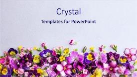  Presentation with wedding - Presentation design with lilac wedding - background of fresh multicolored flowers background and a sky blue colored foreground