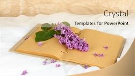  Presentation with lilacs - Amazing PPT theme having lilacs-branch-on-book backdrop and a lemonade colored foreground