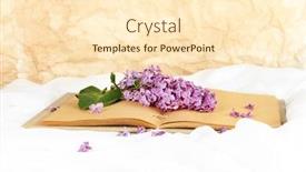  Presentation with lilacs - Cool new presentation design with lilacs branch on book on light background backdrop and a cream colored foreground