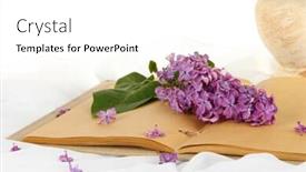  Presentation with lilacs - Presentation enhanced with lilacs-branch-on-book background and a white colored foreground