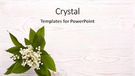  Presentation with green leaves - Slide deck with lilies of the valley background and a pink colored foreground