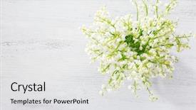  Presentation with lily - Amazing presentation design having lilies of the valley backdrop and a light gray colored foreground