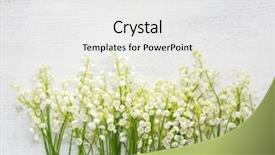  Presentation with lily - Amazing slide deck having lilies of the valley backdrop and a white colored foreground