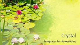  Presentation with water plant - Amazing PPT theme having lilies on green water pond backdrop and a yellow colored foreground