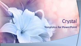  Presentation with flowers border - PPT layouts enhanced with lillies - lily flowers border design spring background and a sky blue colored foreground