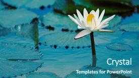  Presentation with water lilly - Cool new slides with lillies - water lilly backdrop and a ocean colored foreground