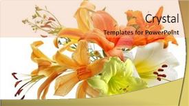  Presentation with lotus flower white water lily - Amazing presentation theme having lily and daylily flowers isolated backdrop and a  colored foreground